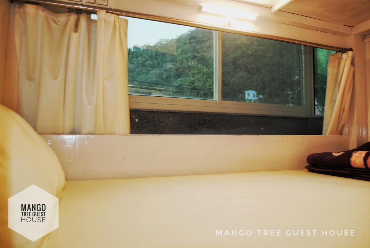 Mango Tree
