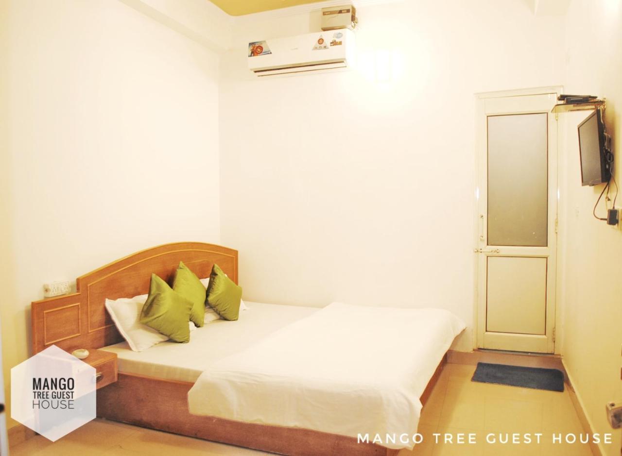 Mango Tree 2*