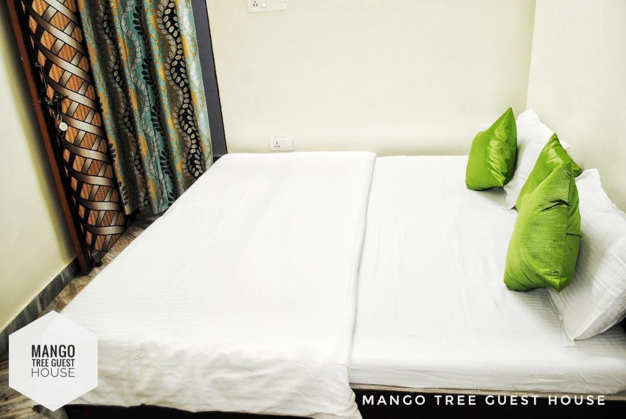 Mango Tree 2*