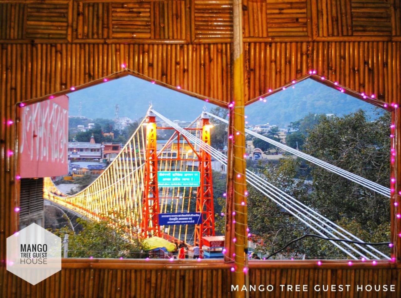 Mango Tree Rishikesh