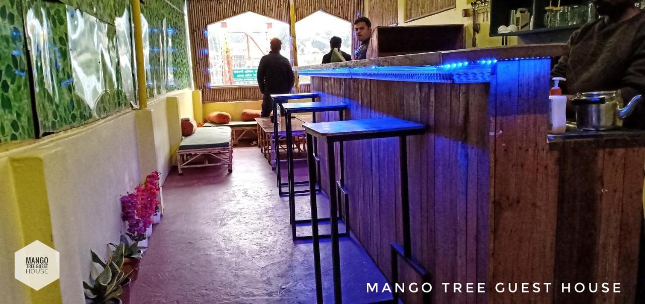 Mango Tree Rishikesh