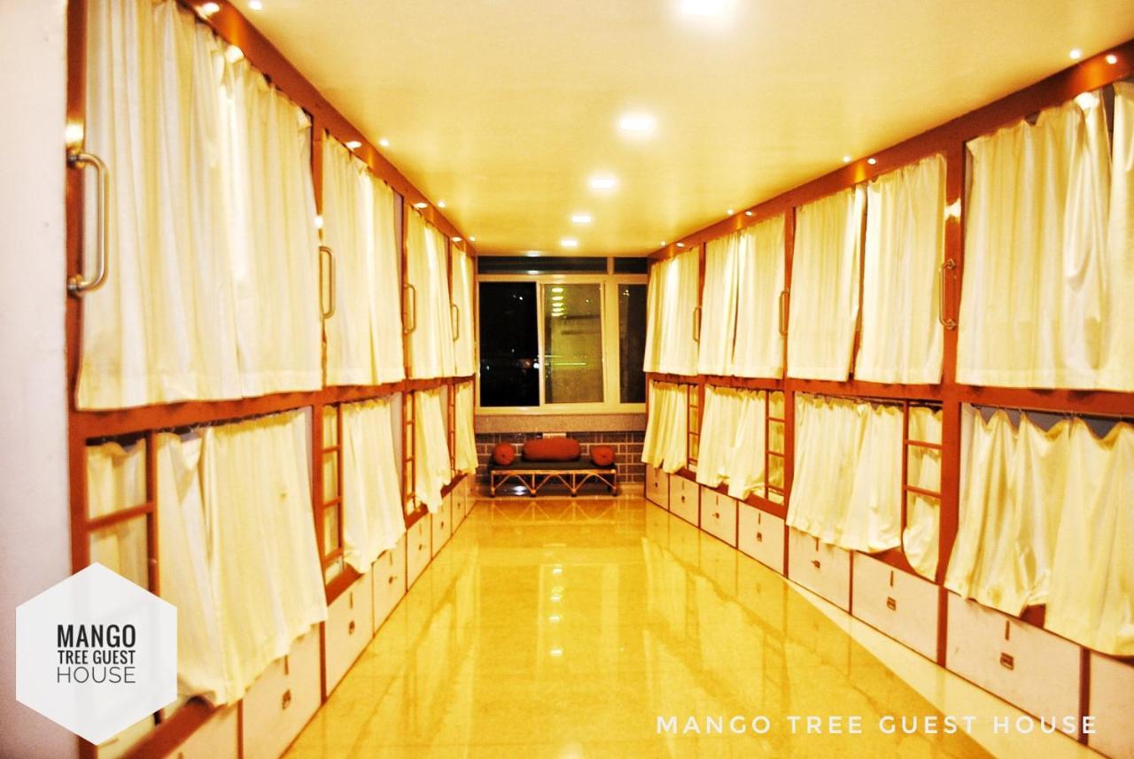 Mango Tree Guest house