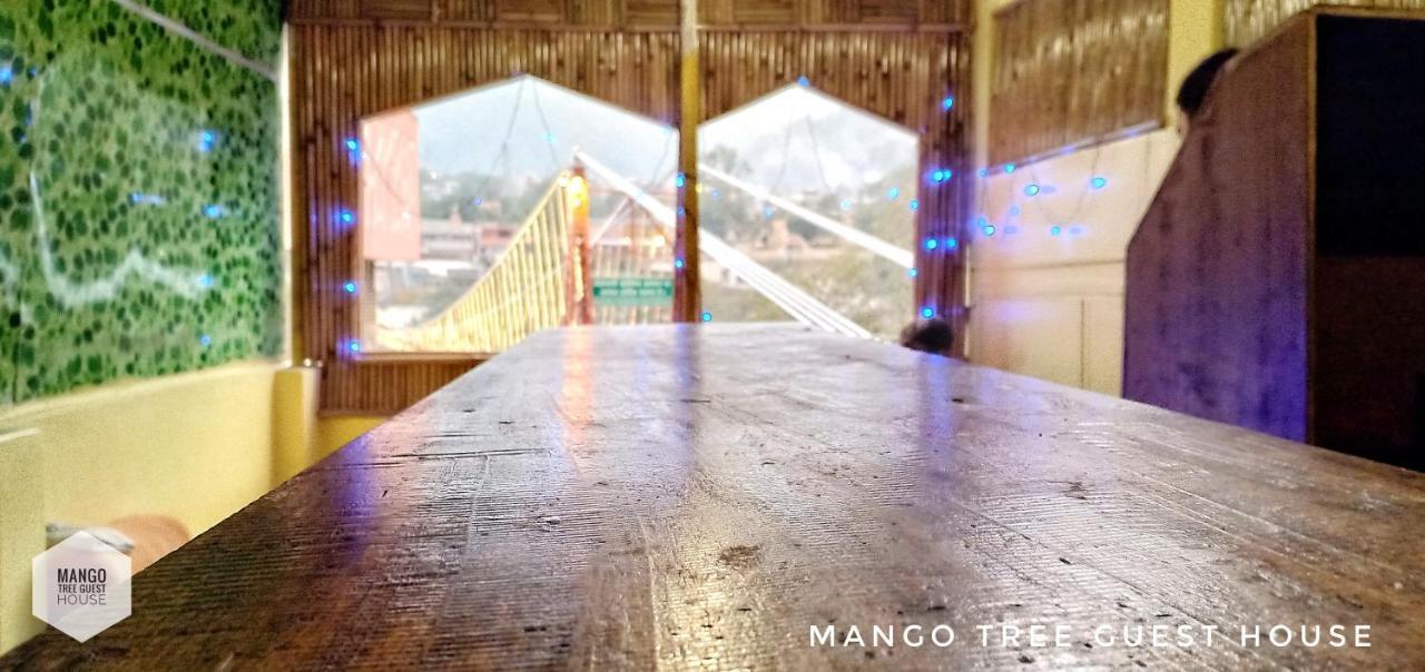 Mango Tree 2*