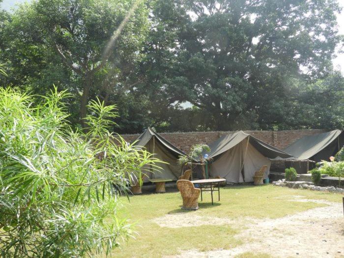 Hotel Mornis Camp And