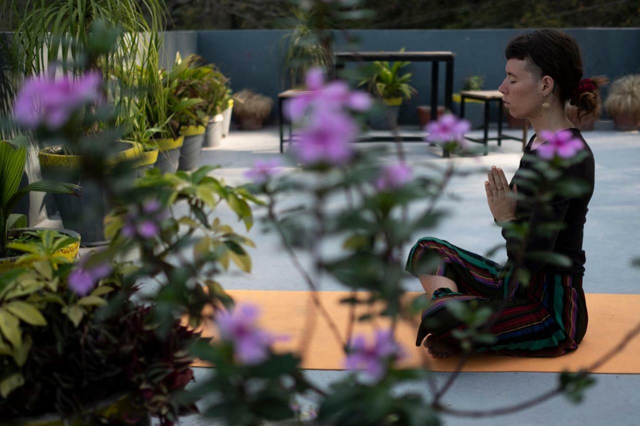 Bunkstay Coworking & Glamping