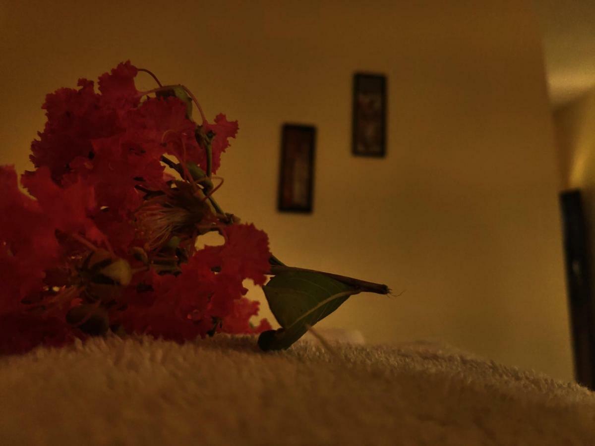 Nature Care Village- Rajaji National Park *
