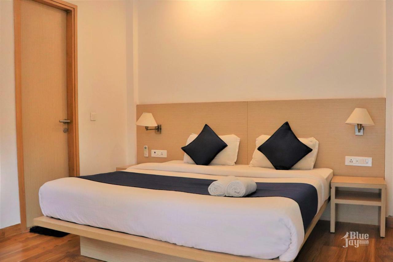 The Blue Jay - Dorms & Hostel Rishikesh