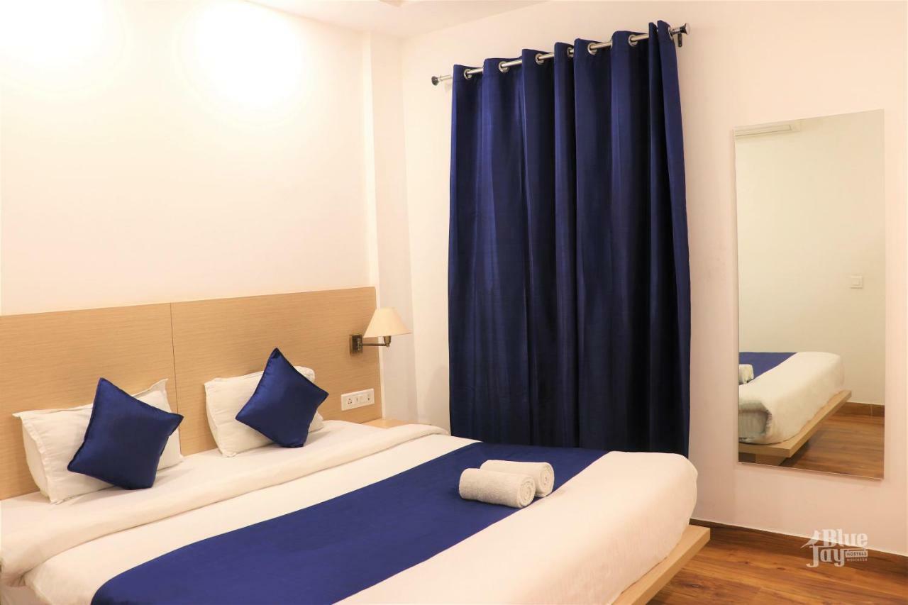 Hostel The Blue Jay - Dorms &