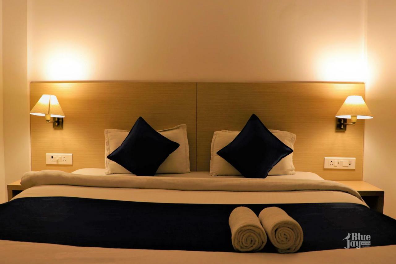 The Blue Jay - Dorms & Rishikesh