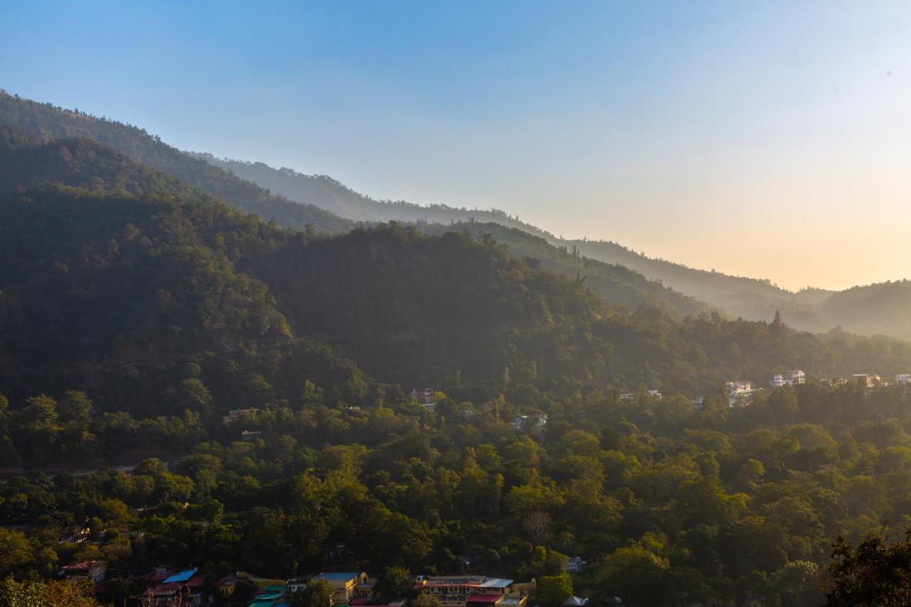 Peepal Tree Hotel