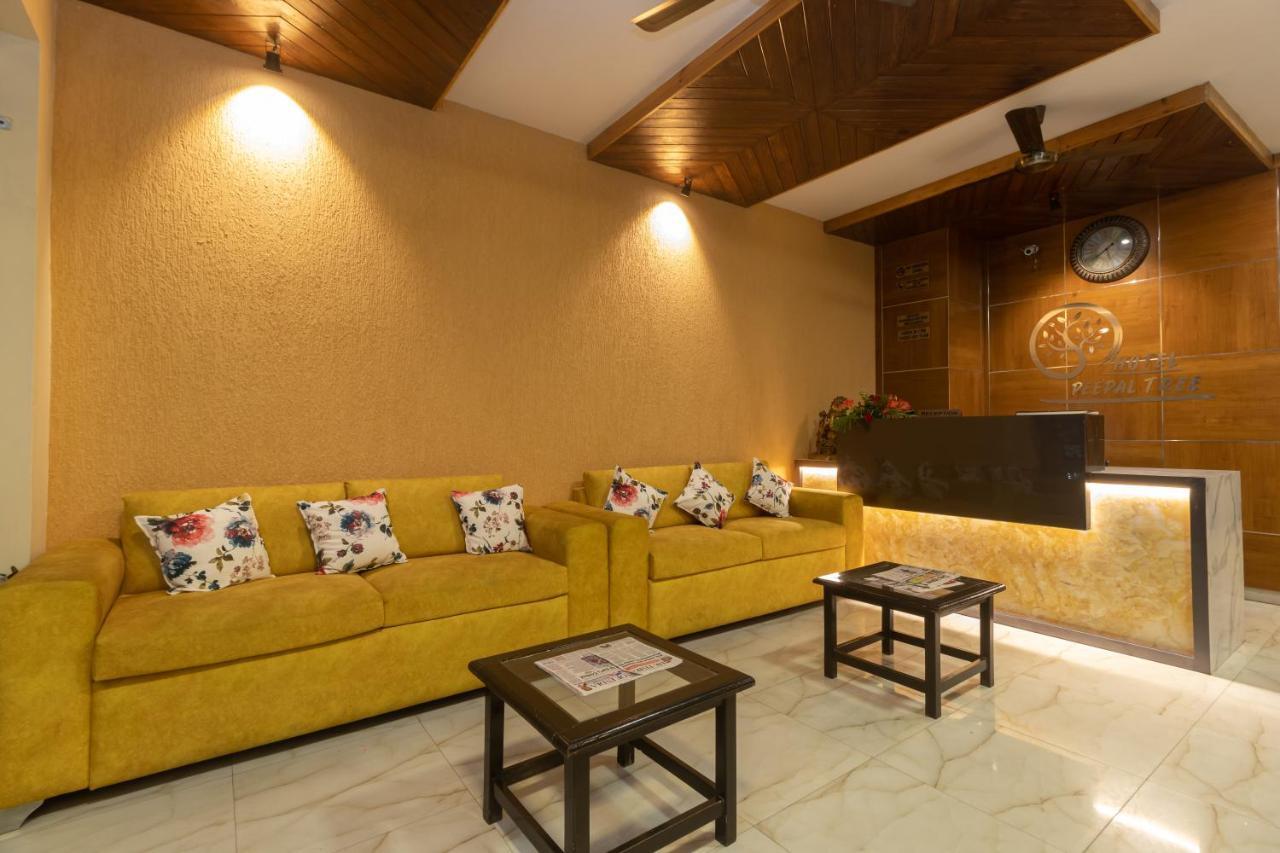 Peepal Tree 3*