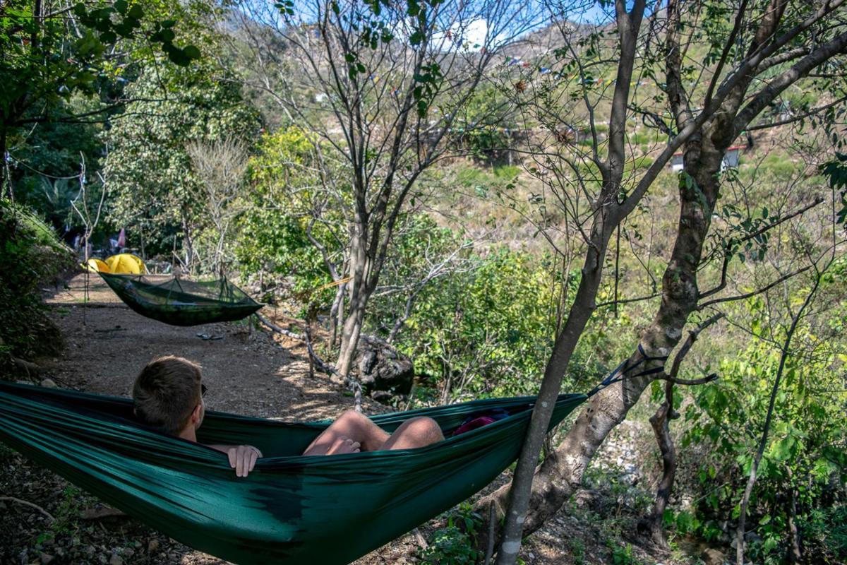 Tribe Aqua A Nature Retreat Above Neer Waterfall Rishikesh