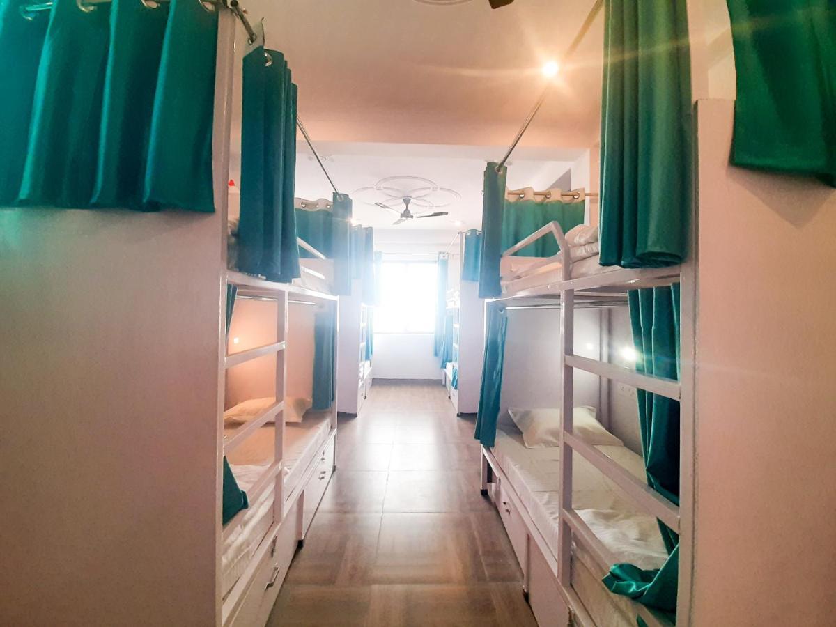 Hostel Orchid