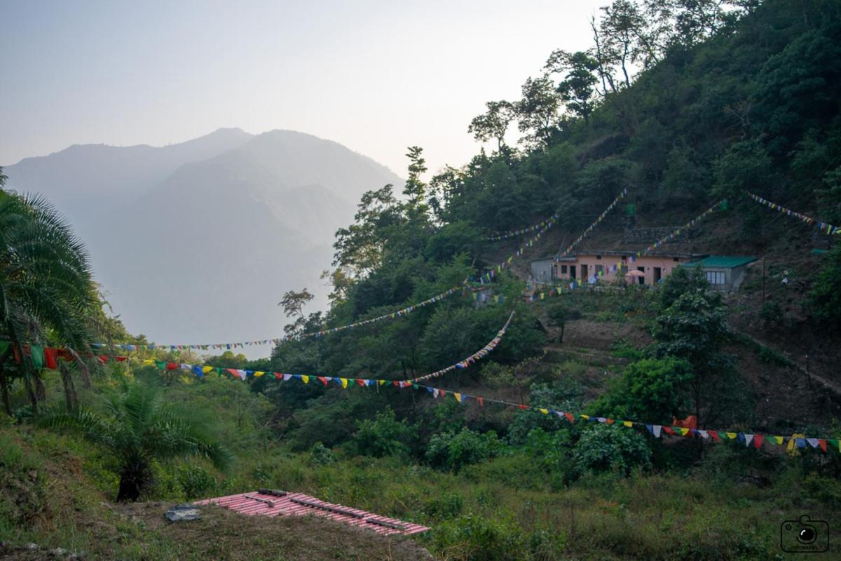 Tribe Aqua A Nature Retreat Above Neer Waterfall Rishikesh