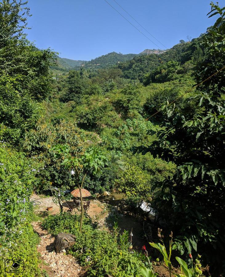 Tribe Aqua A Nature Retreat Above Neer Waterfall Rishikesh
