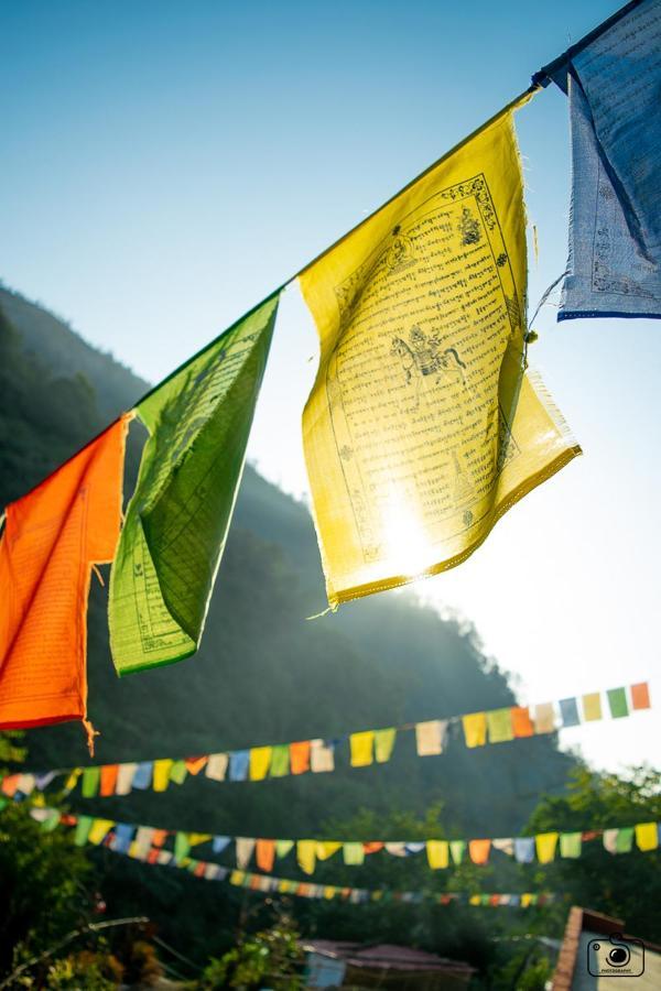 Tribe Aqua A Nature Retreat Above Neer Waterfall * Rishikesh