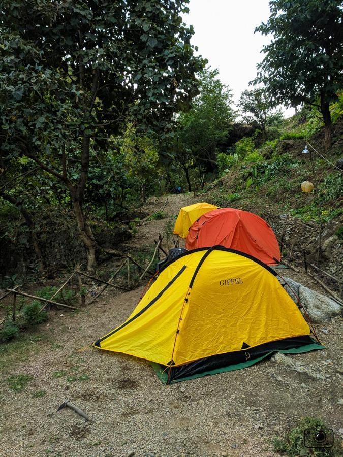 Tribe Aqua A Nature Retreat Above Neer Waterfall Rishikesh