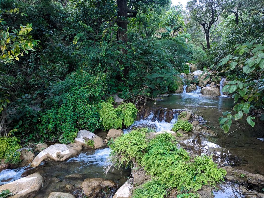 Campsite Tribe Aqua A Nature Retreat Above Neer Waterfall Rishikesh