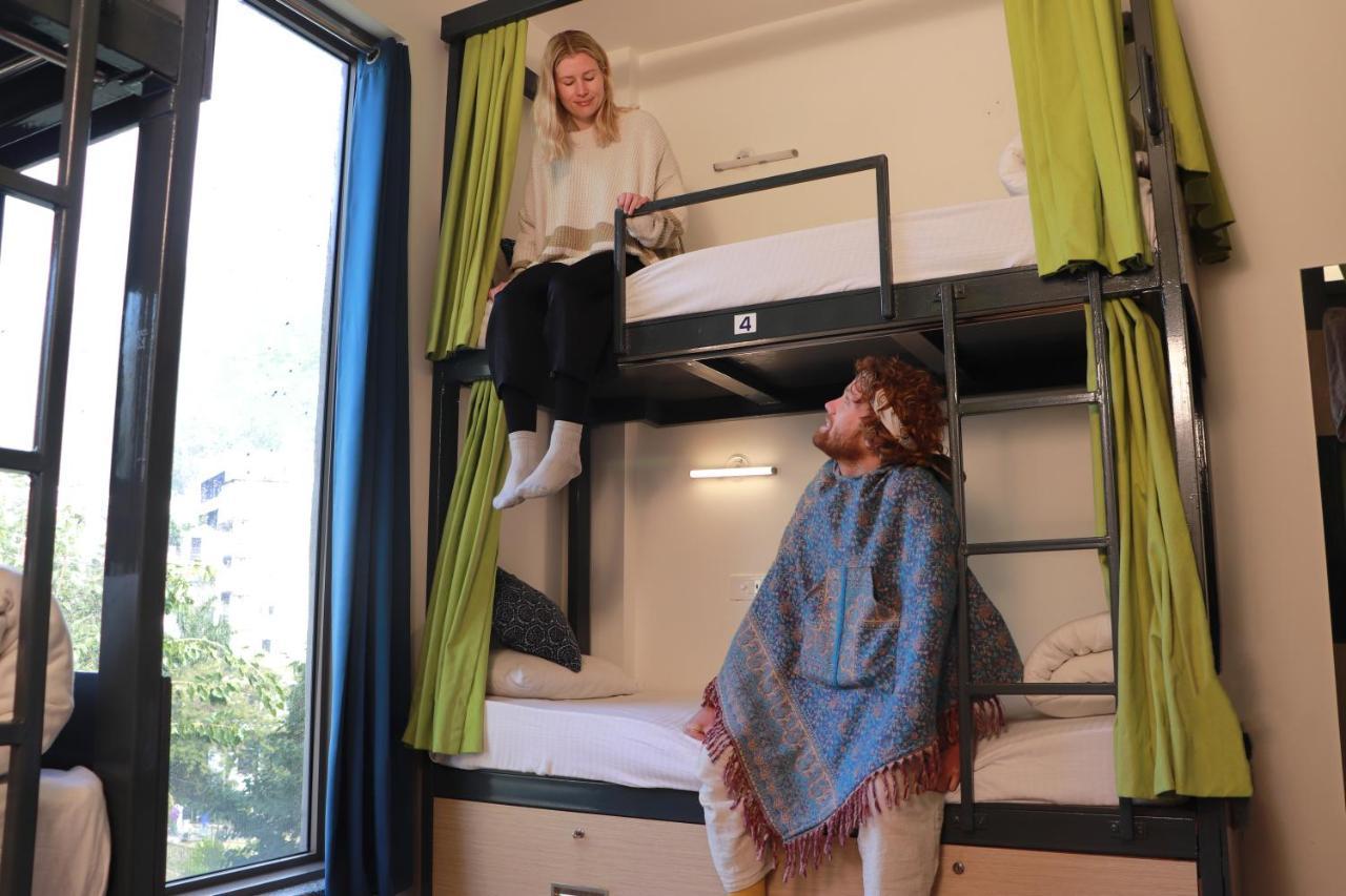 The Blue Jay - Dorms &