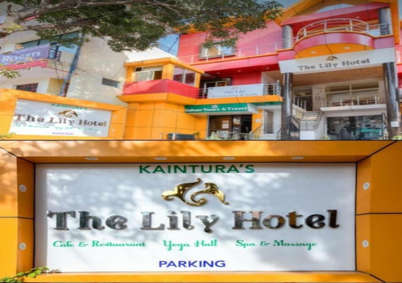 The Lily Hotel 3*