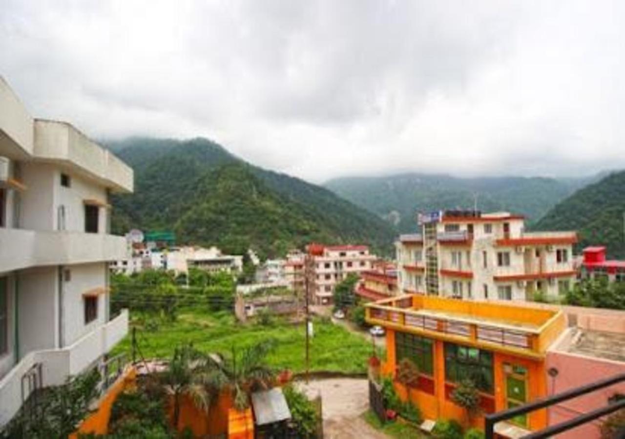The Lily Hotel